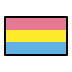 pansexual